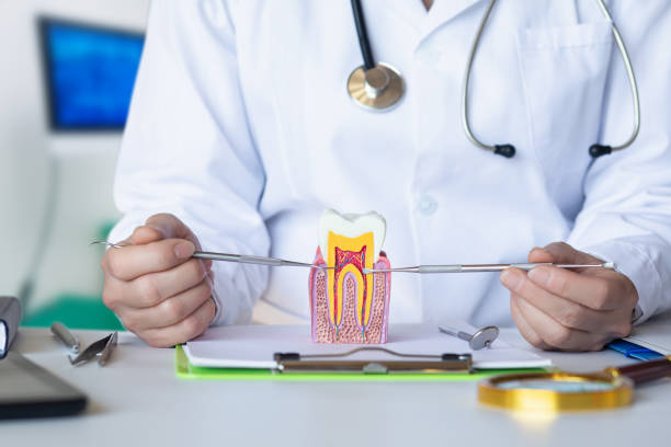 Best Walk-In Emergency Dentist in Surrey, ND